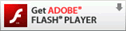 Adobe FLASH PLAYER