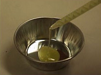 pnp0407_1.jpg