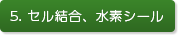 5. セル結合、水素シール